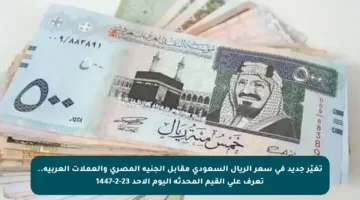 تغيّر جديد في سعر الريال السعودي مقابل الجنيه المصري والعملات العربية.. تعرف على القيم المحدثة اليوم الأحد 23-2-1447